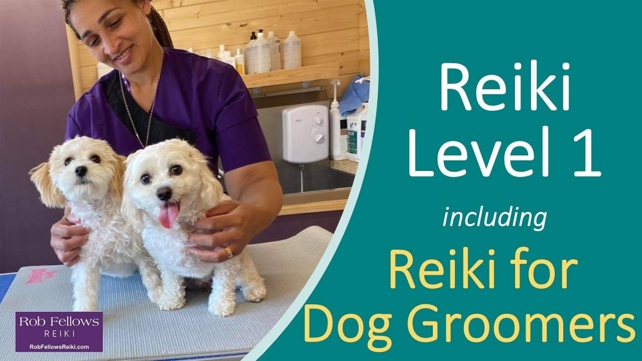 Reiki for Dog Groomers Online and InPerson Courses, Qualifications