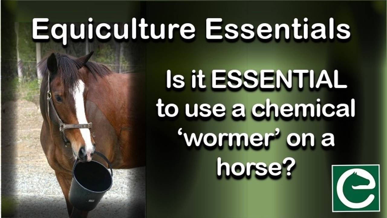 does tobacco kill worms in horses Is it ESSENTIAL to use a chemical 'wormer' on a horse?