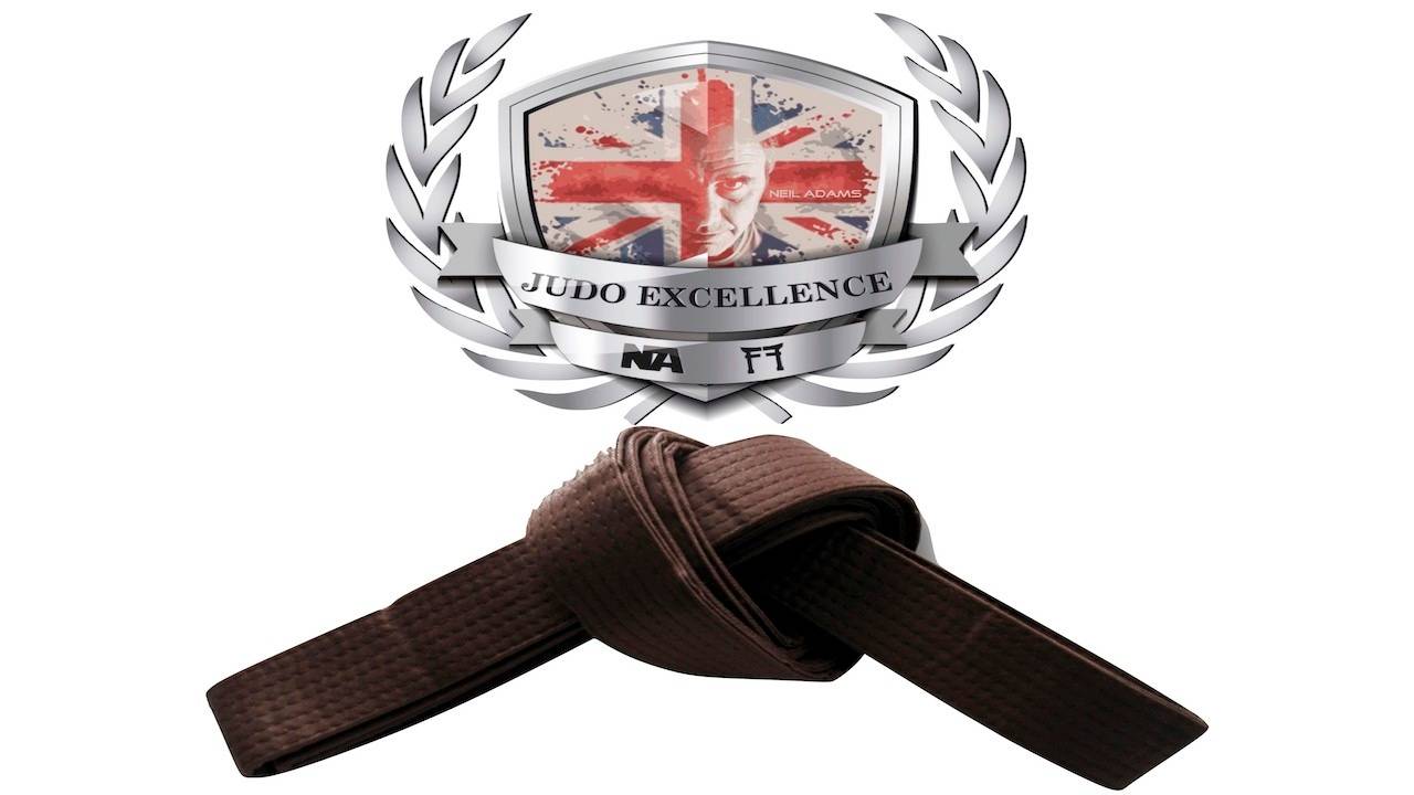 Dai Gokyo Judo Brown Belt