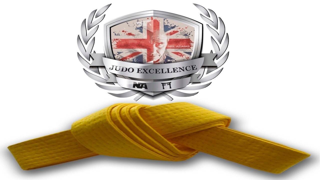 Dai Ikkyo Judo Yellow Belt