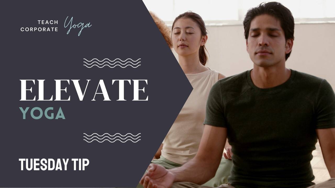 Let's ELEVATE Yoga Together!