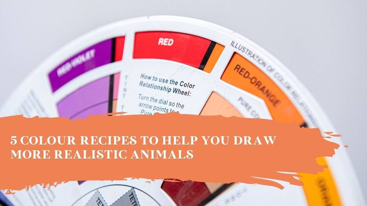 5 Colour Recipes to Help You Draw More Realistic Animals