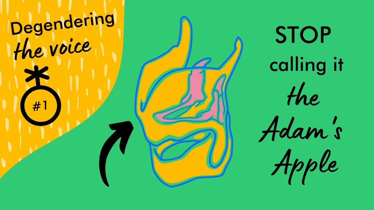Degendering The Voice #1: Stop calling it the Adam's Apple