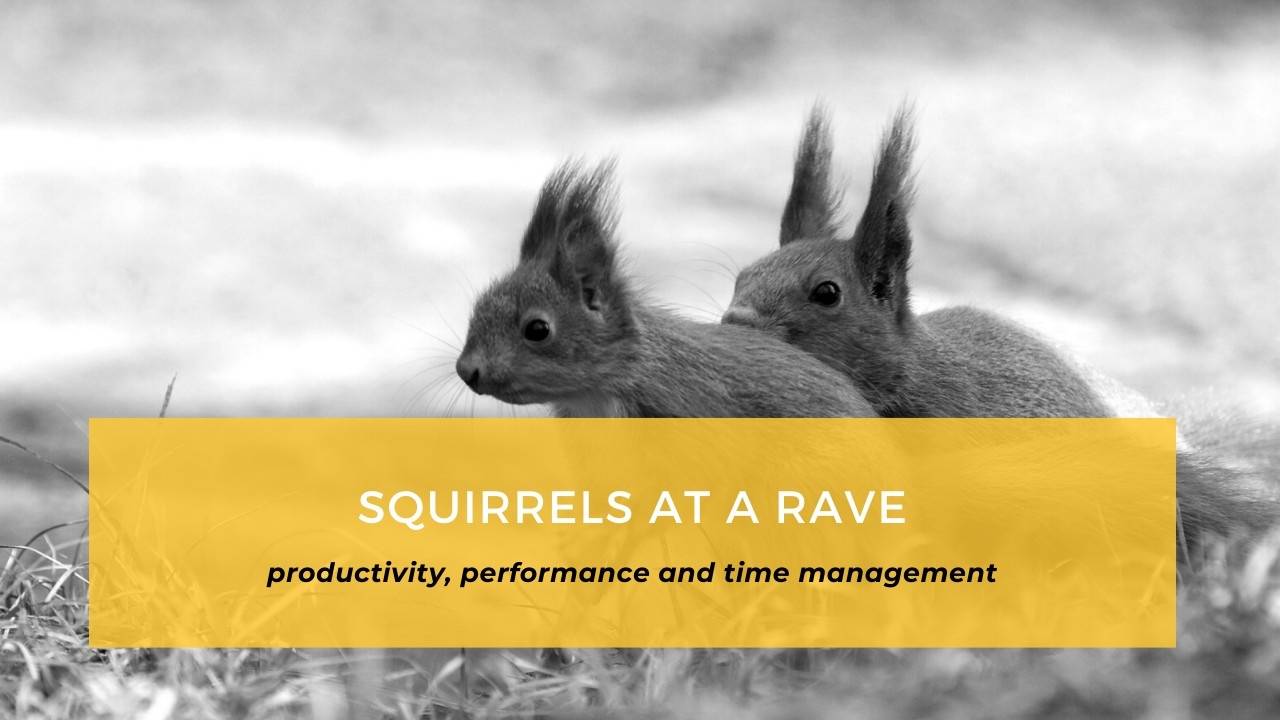 Squirrels at a Rave Productivity and Time Management