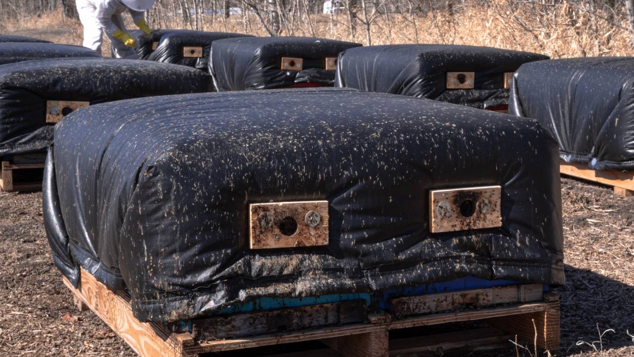 How to Wrap Your Hives for The Winter?