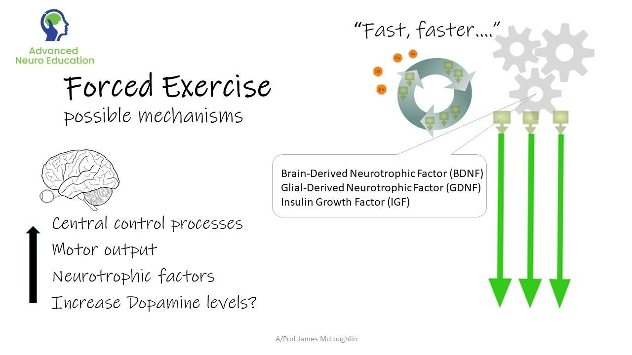FREE LECTURE Parkinson's & Exercise a motor control framework