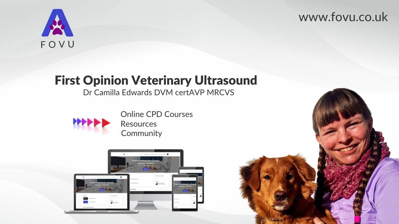 Veterinary Ultrasound FOVU Blog