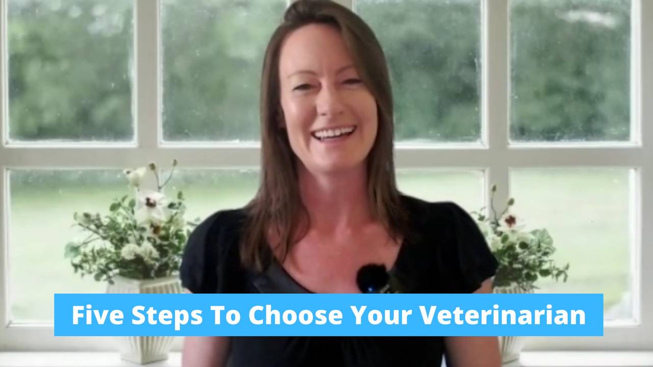 Five Steps To Choose Your Veterinarian