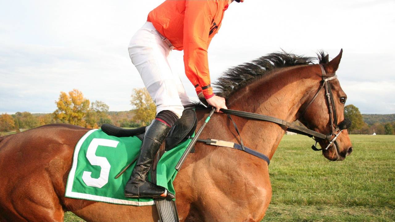 WHWO against whip use in horse racing