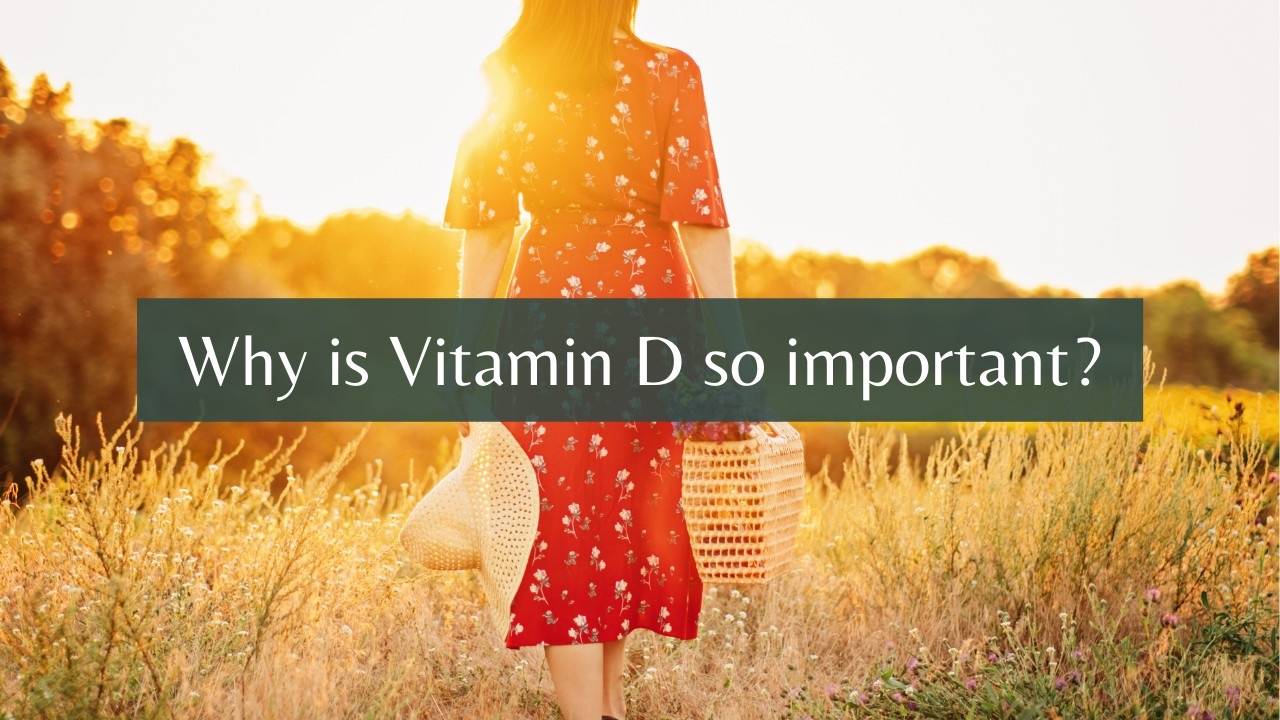 Why is Vitamin D So Important?