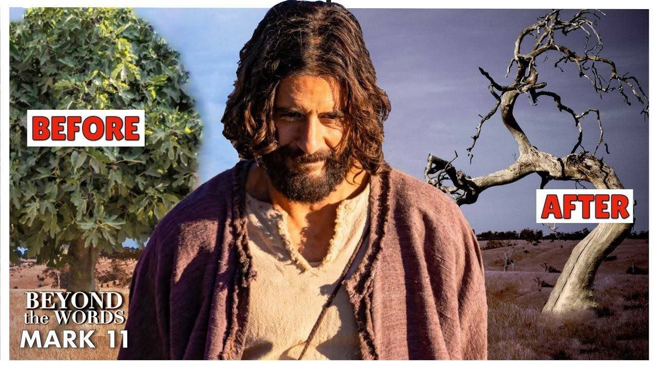 Why You Should Be Concerned That Jesus Killed A Tree Mark 11
