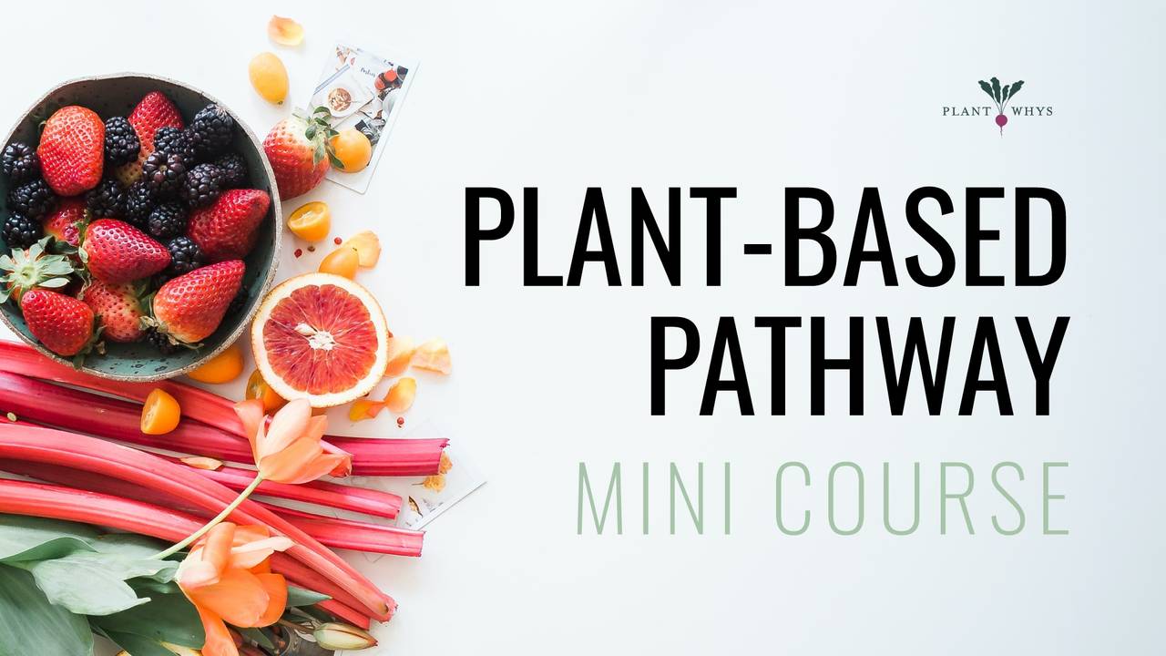 How to Easily Eat A PlantBased Diet