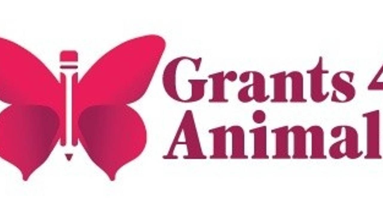 Grants 4 Animals About Your Grantwriter