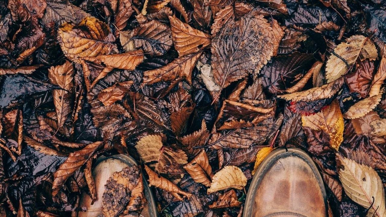 UNDERSTAND TIMES & SEASONS