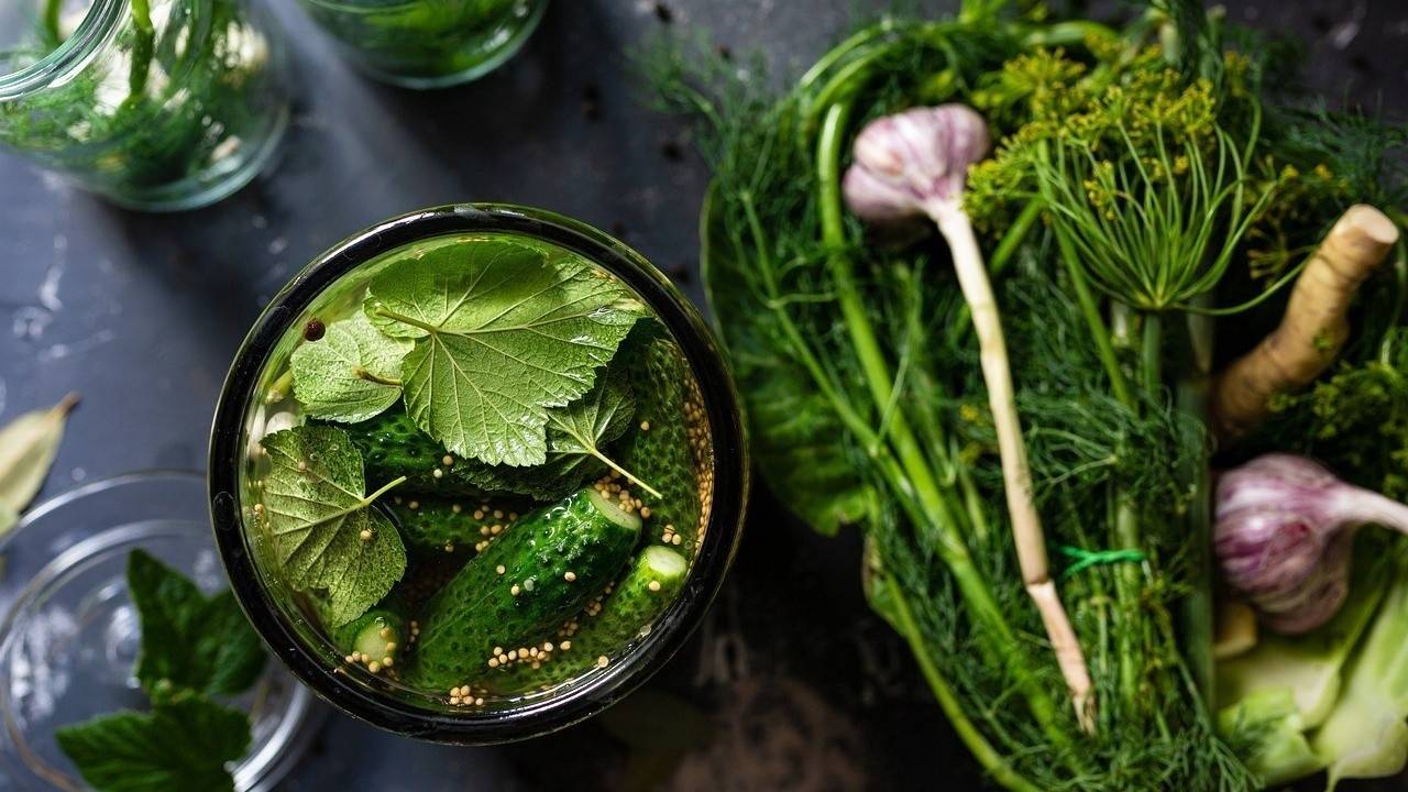 Pickles A Superfood You Can Easily Make At Home for Better Health