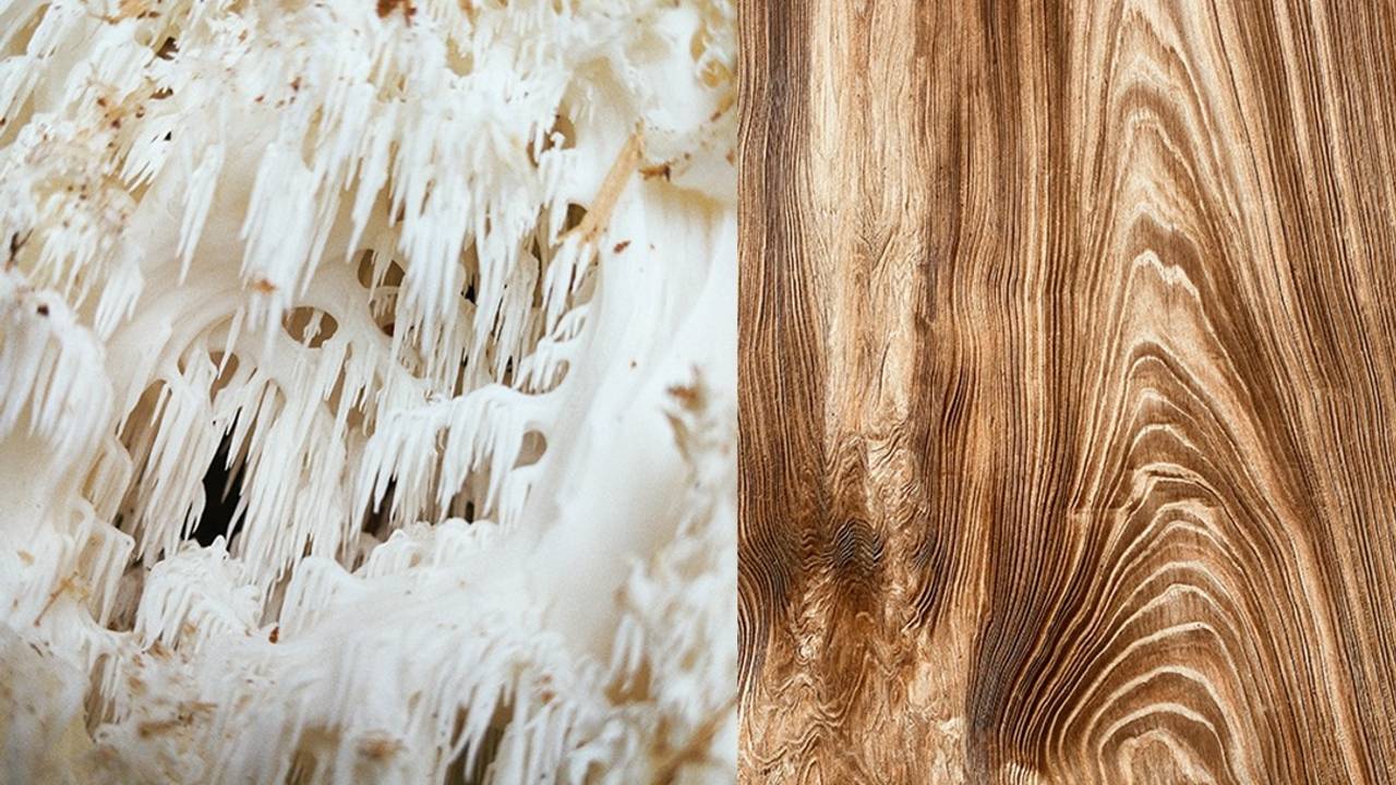 Image showcasing Natural Building Materials