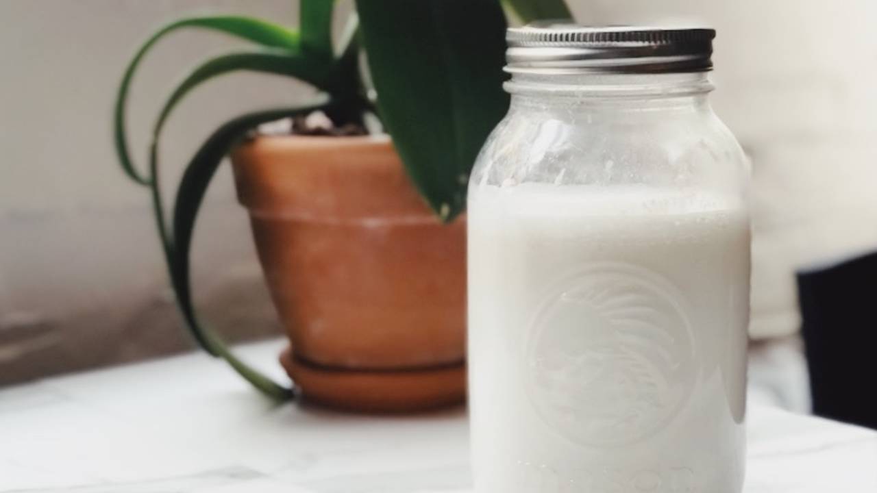 Coconut Milk For IBS