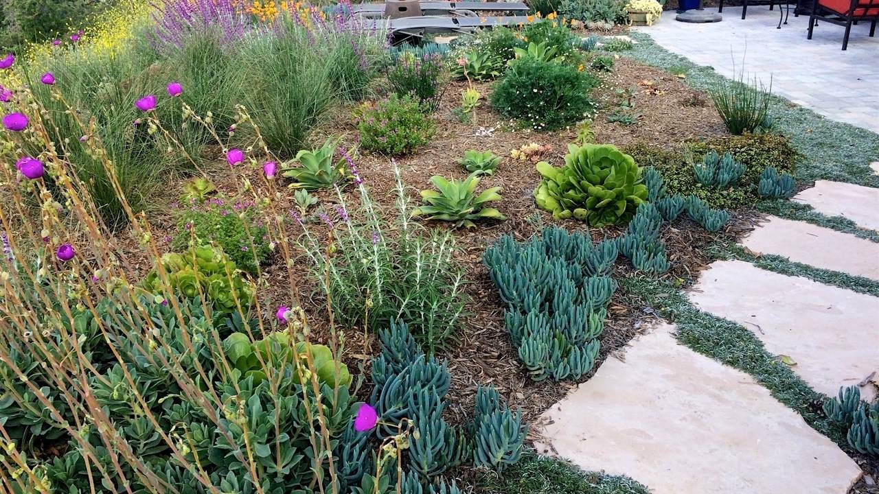 Portfolio - BayHo Backyard Beautification, image size:1280x720