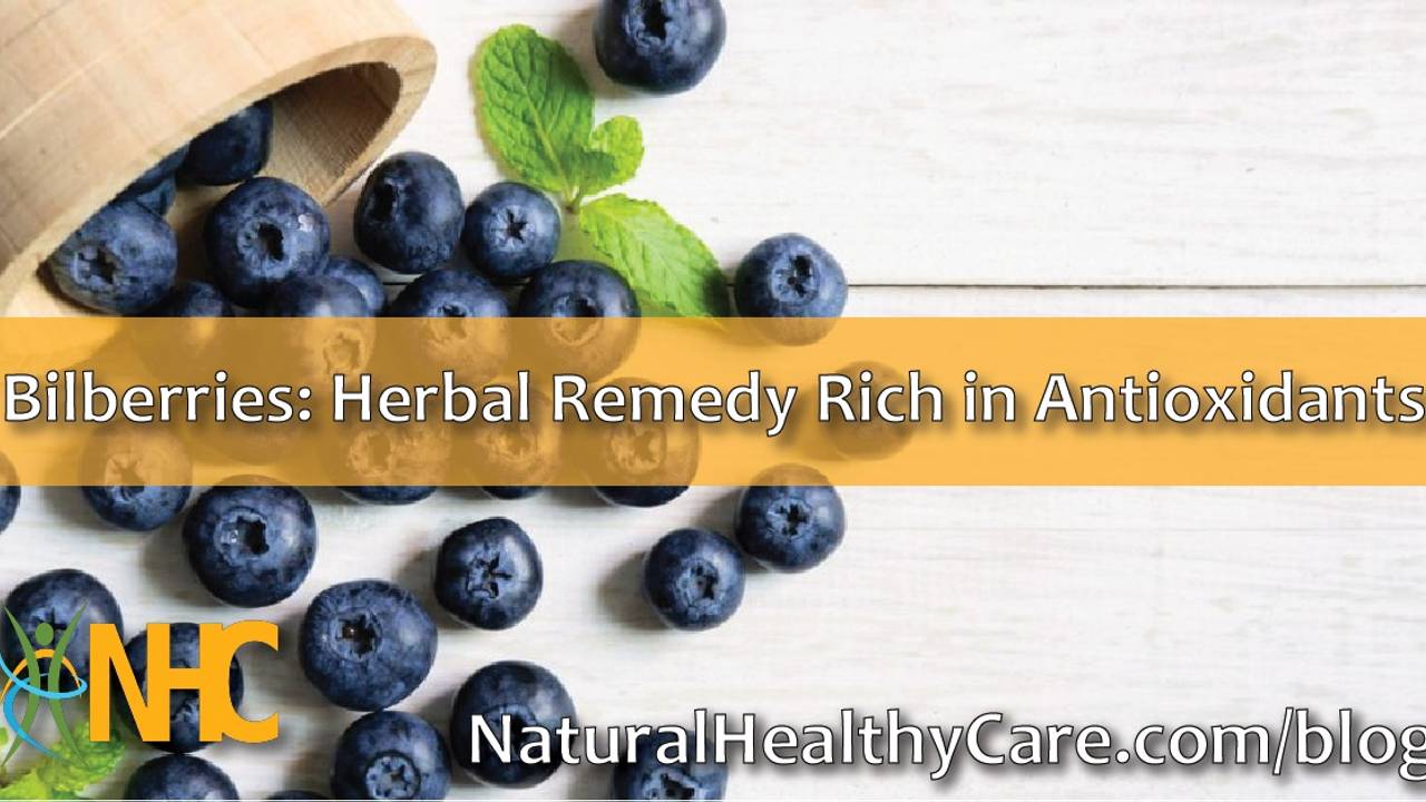 Bilberries Herbal Remedy Rich in Antioxidants