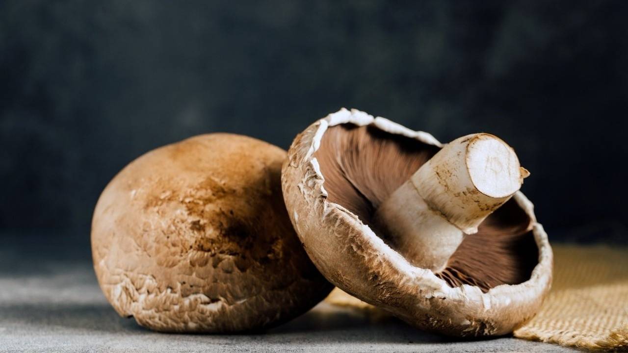 Portobello Mushroom Nutrient Powerhouse