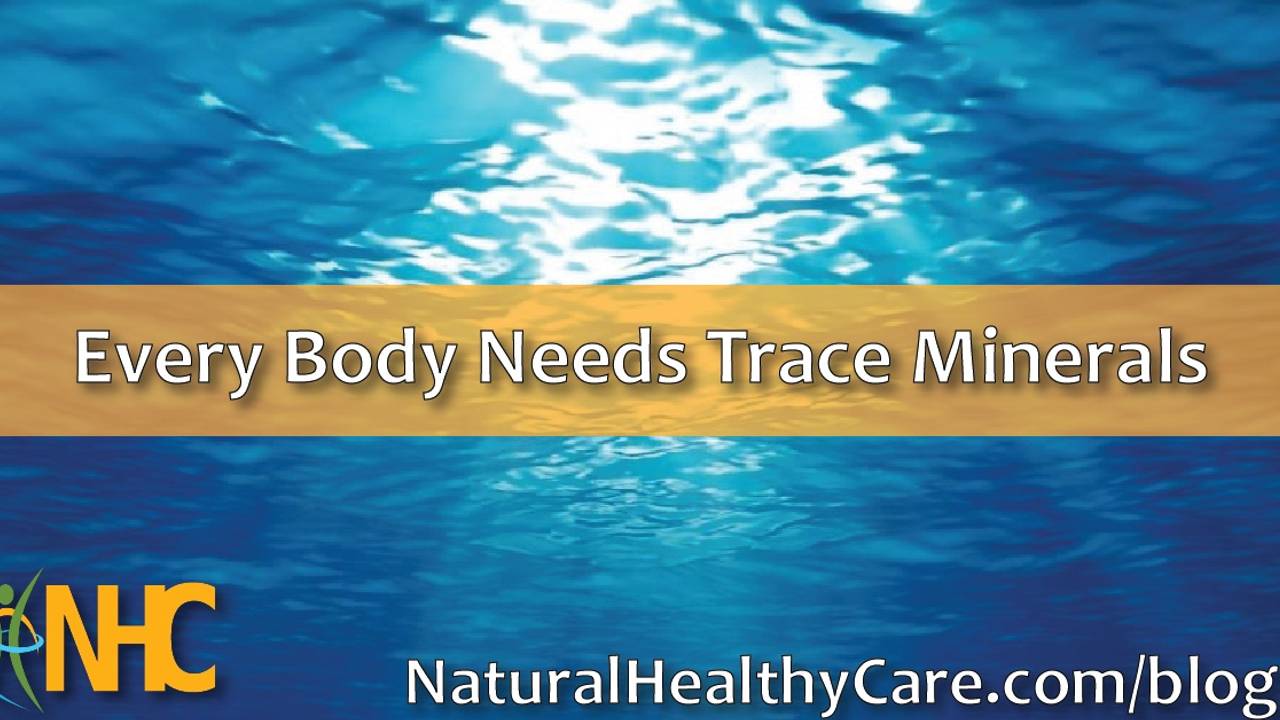 Every Body Needs Trace Minerals