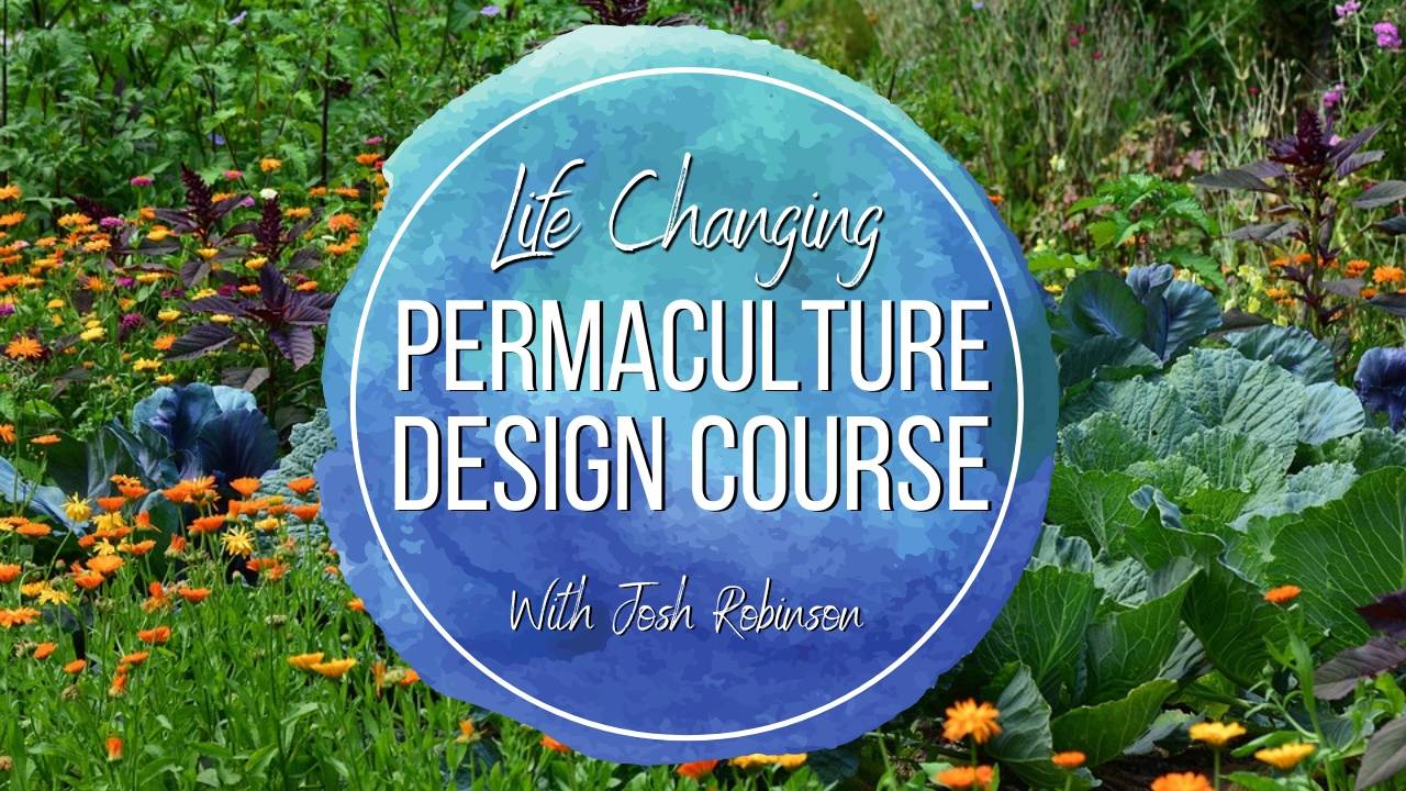 Master Agroforestry: Online PDCs for Carbon Sequestration