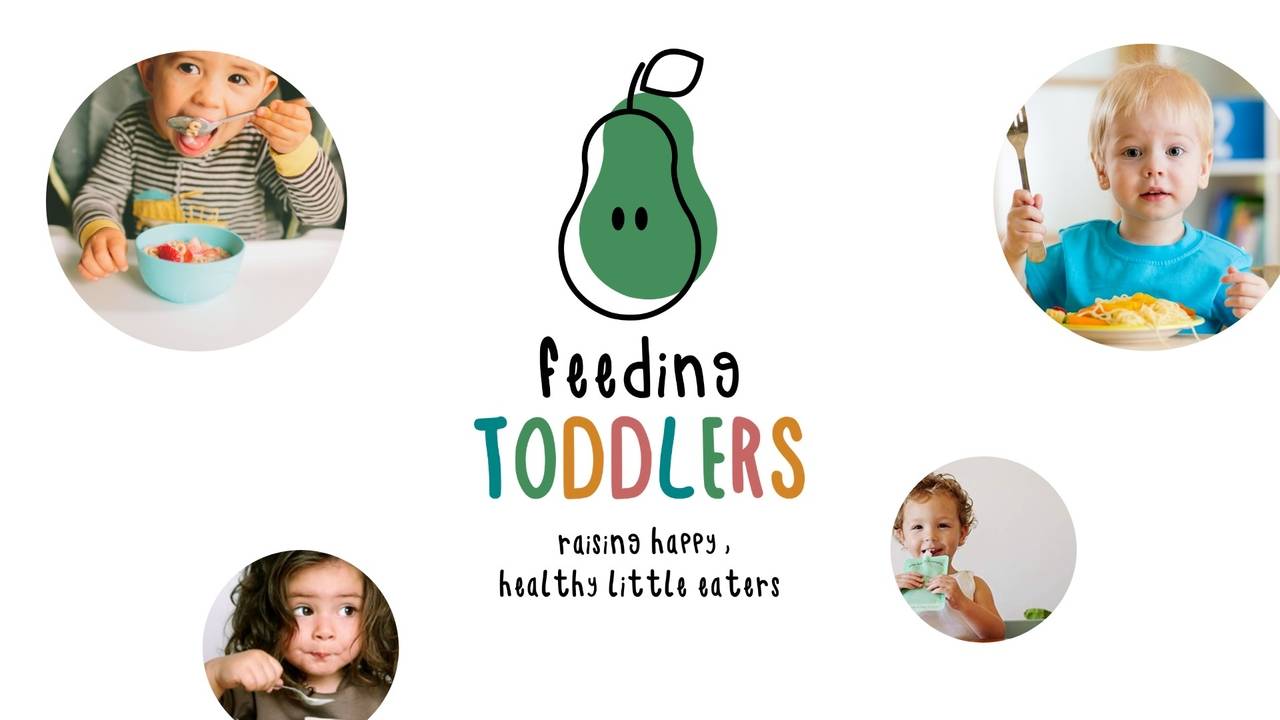 Feeding Toddlers Online Course