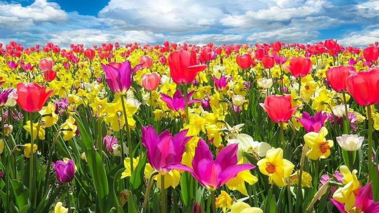 Best weather in the world