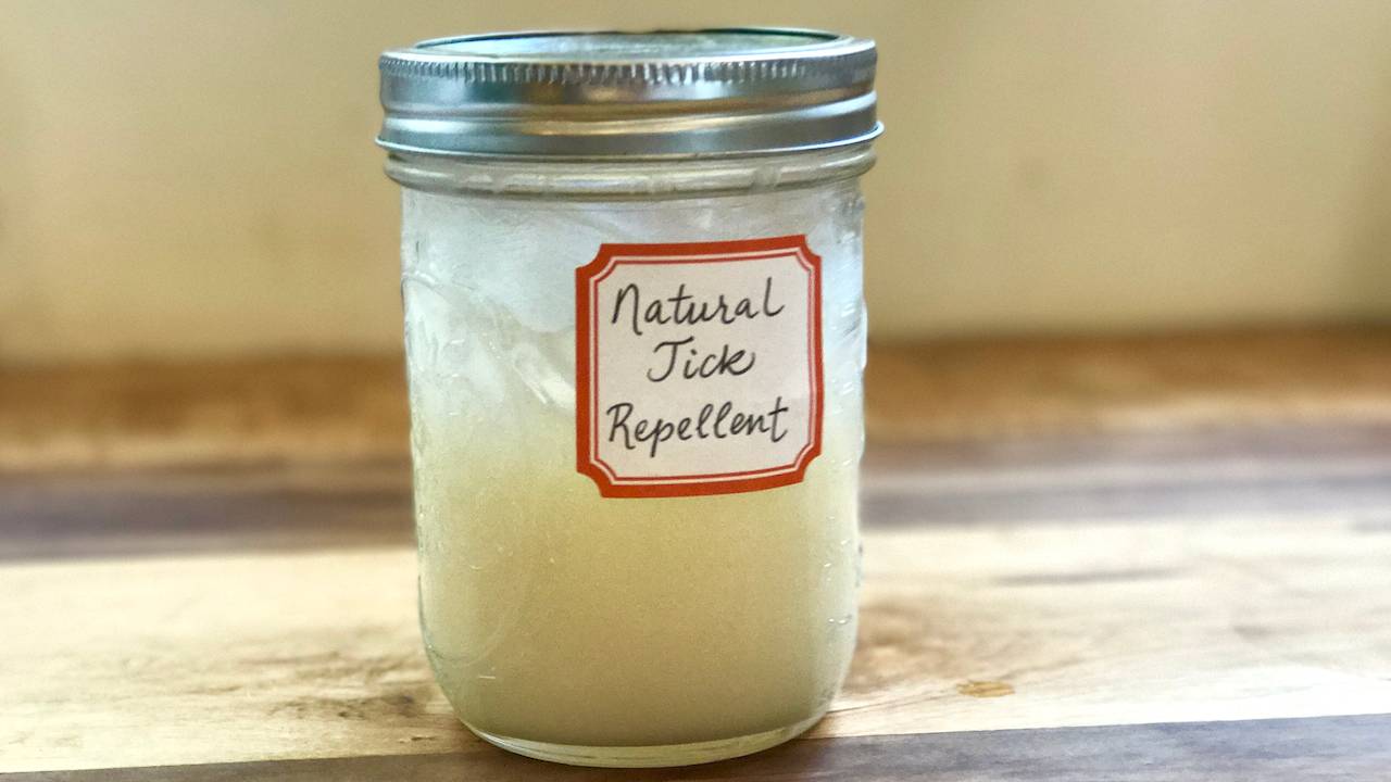 Easy Natural Homemade Tick Repellent