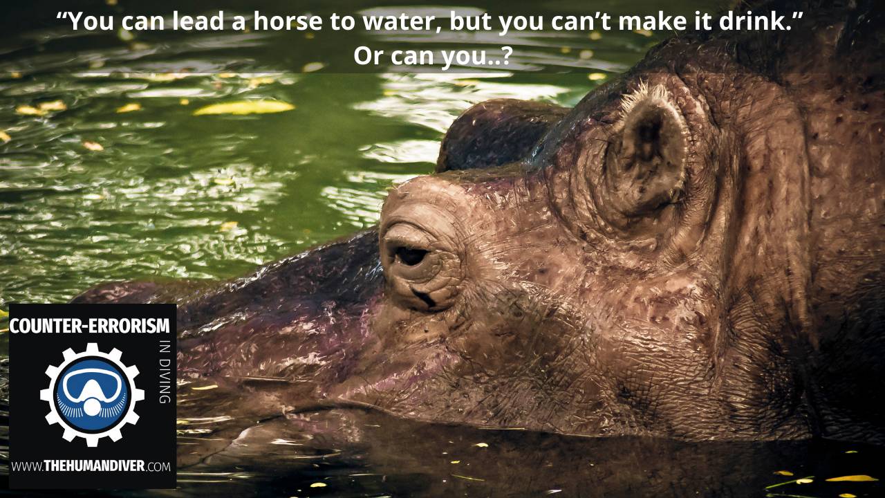 lead a horse to water, but you can’t make it drink.” Or can you..?