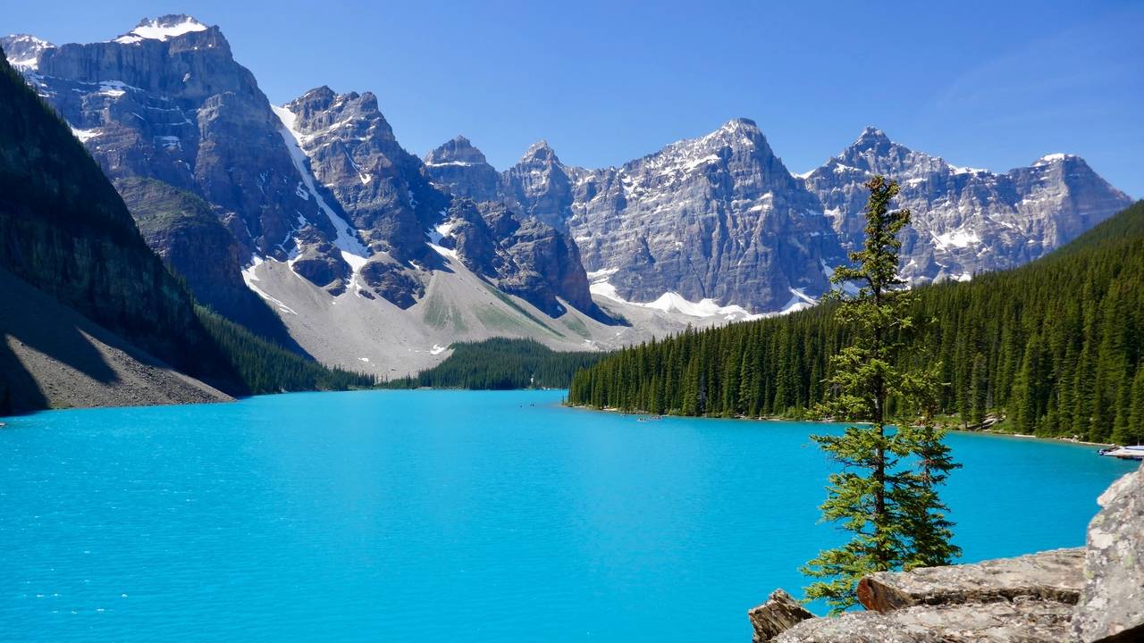 ImmigrationShop Your Confident Canada Visa Application