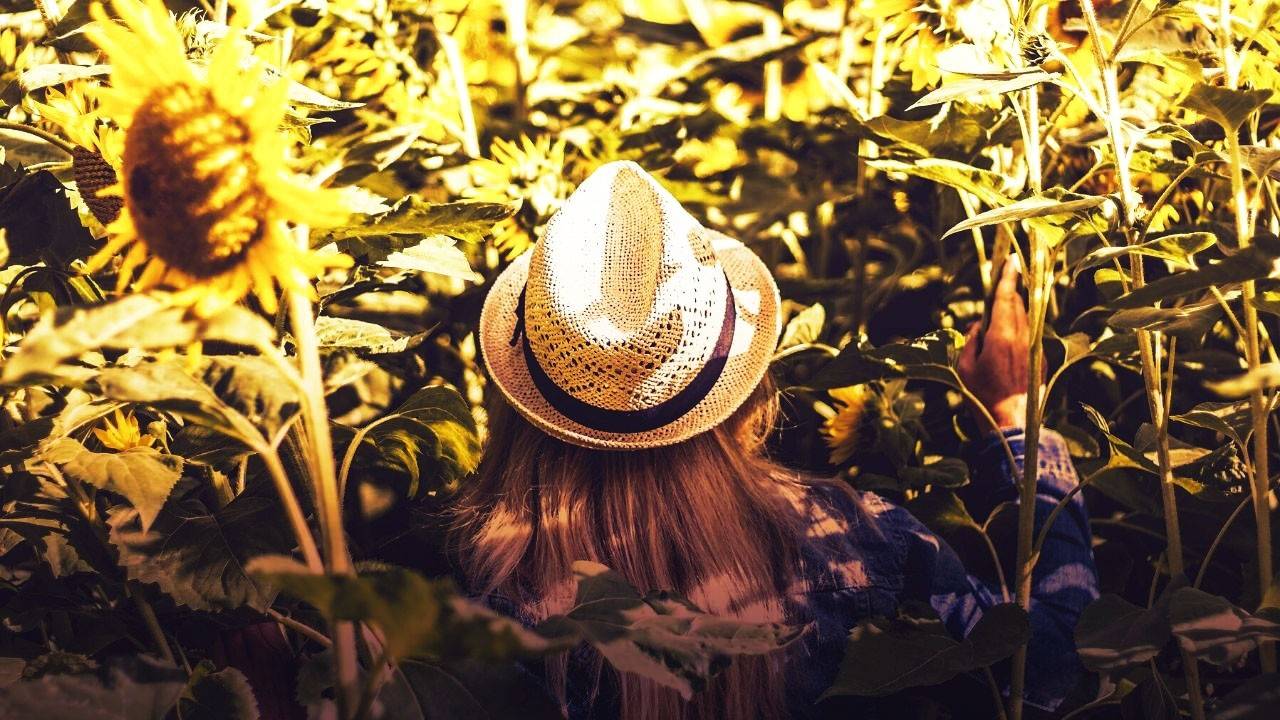 How Hormones Affect Weight Loss. Podcast.