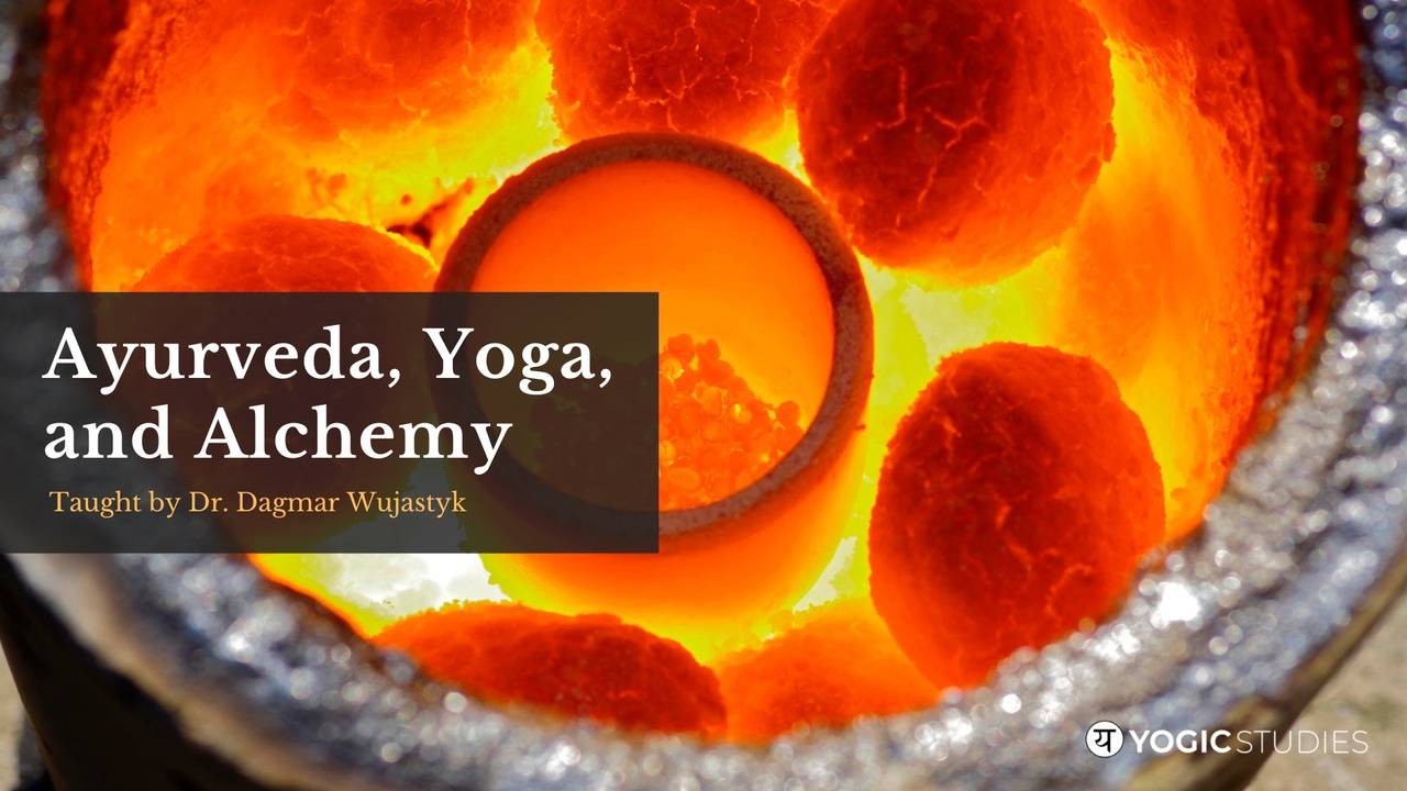 YS 122 | Ayurveda, Yoga, and Alchemy