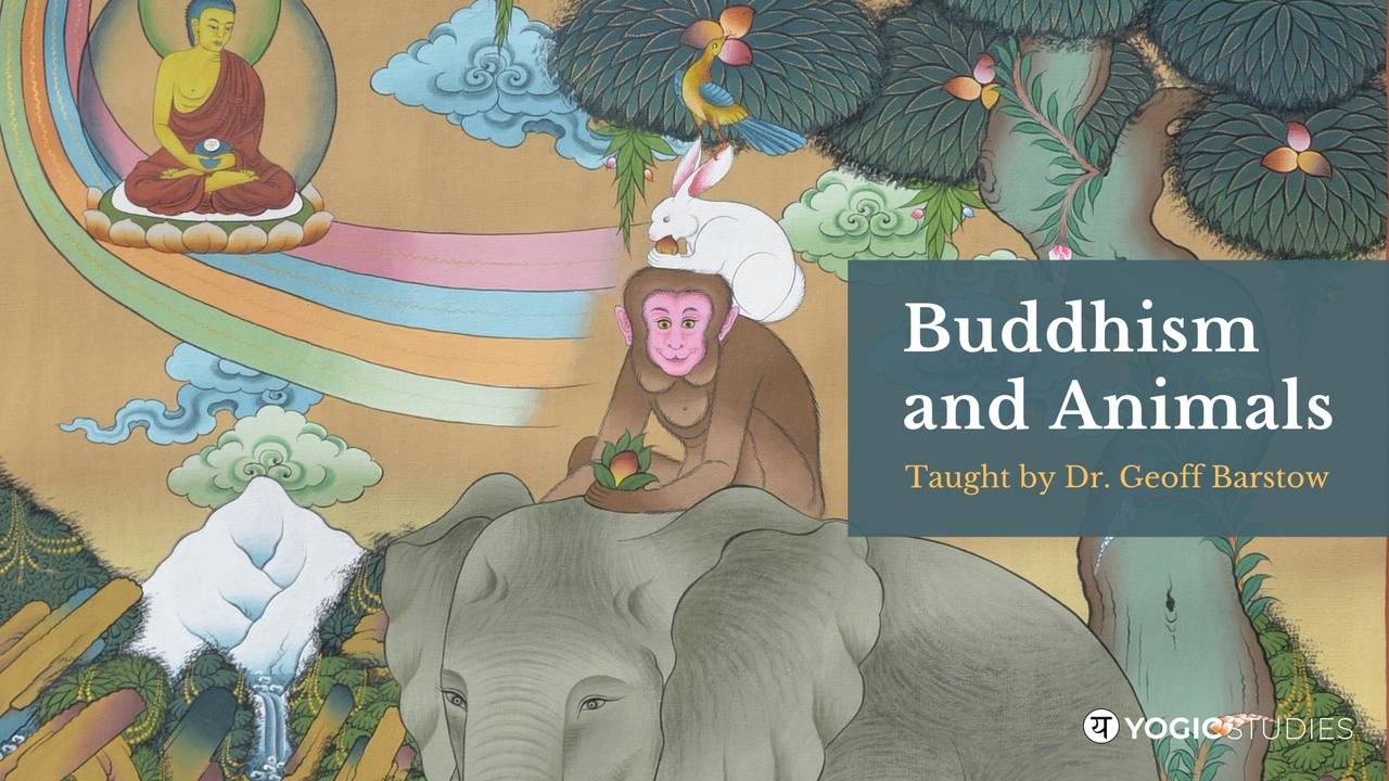 BS 106 | Buddhism and Animals