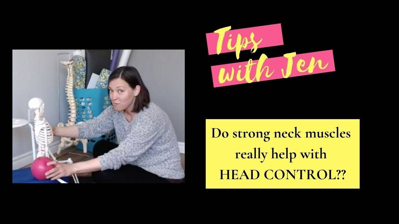 Do stronger neck muscles result in better head control?
