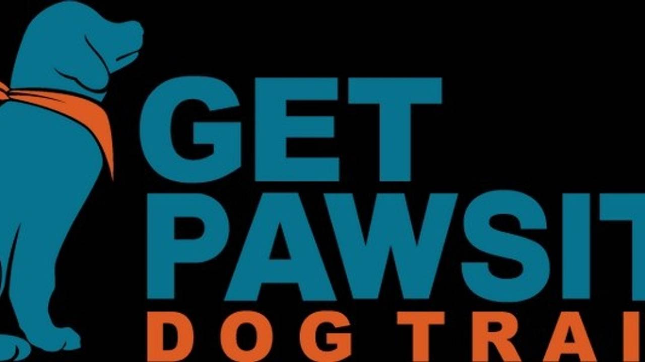 Reliable Recall for Your Dog