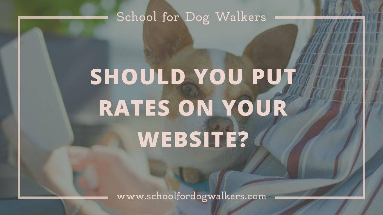 Should I Include My Dog walking Rates and Pricing on my site?