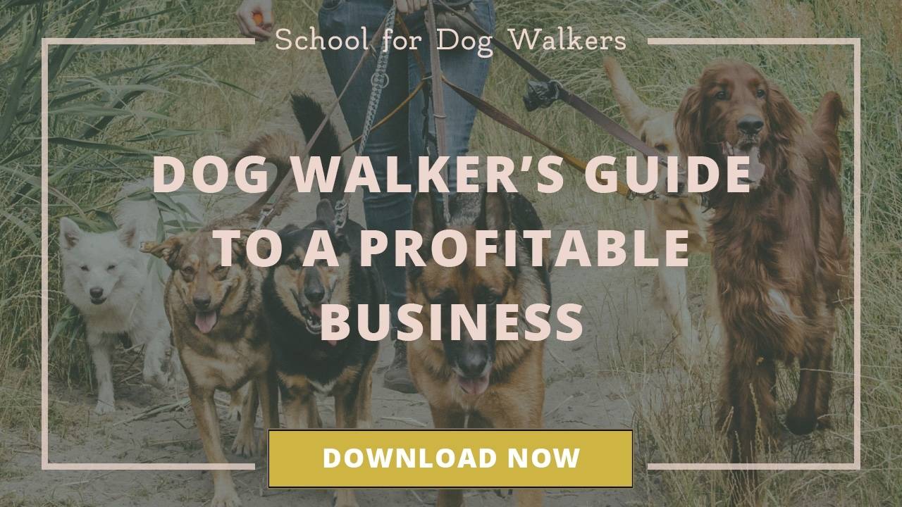 Free business tips for starting and growing a dog walking business