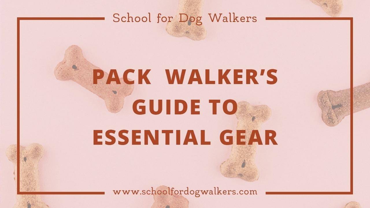 What Equipment Do I Need to Start a Pack Dog Walking Business?