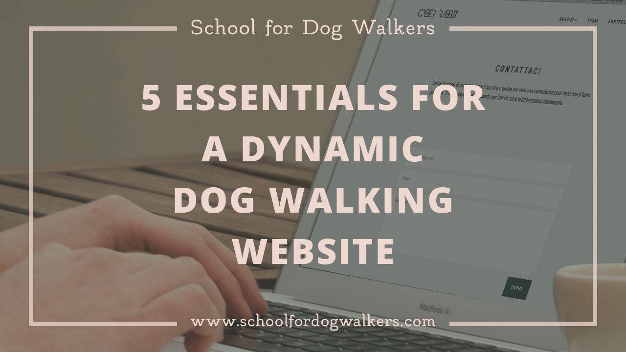 5 Essentials for a Dynamic Dog Walking site