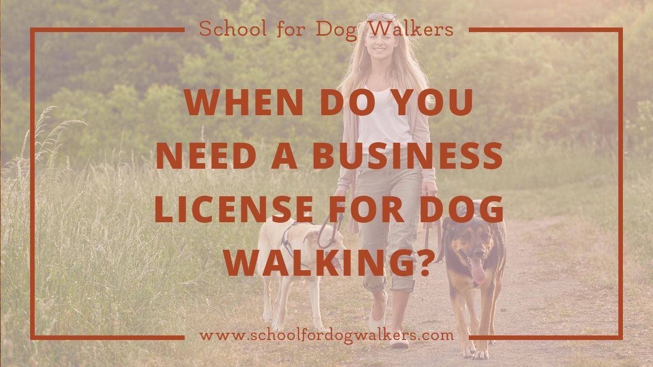 You Need a Business License for Your Dog Walking Service