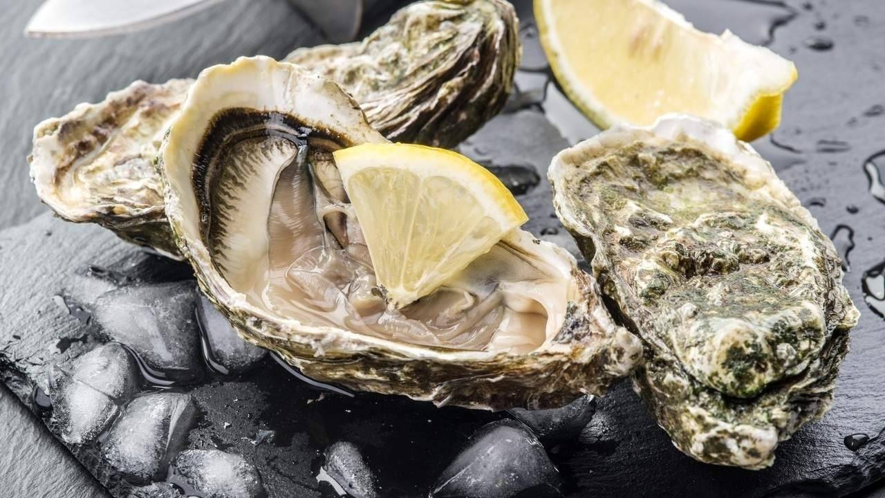 Oyster Nutrition Ultimate Superfood With Excellent Mineral Profile?