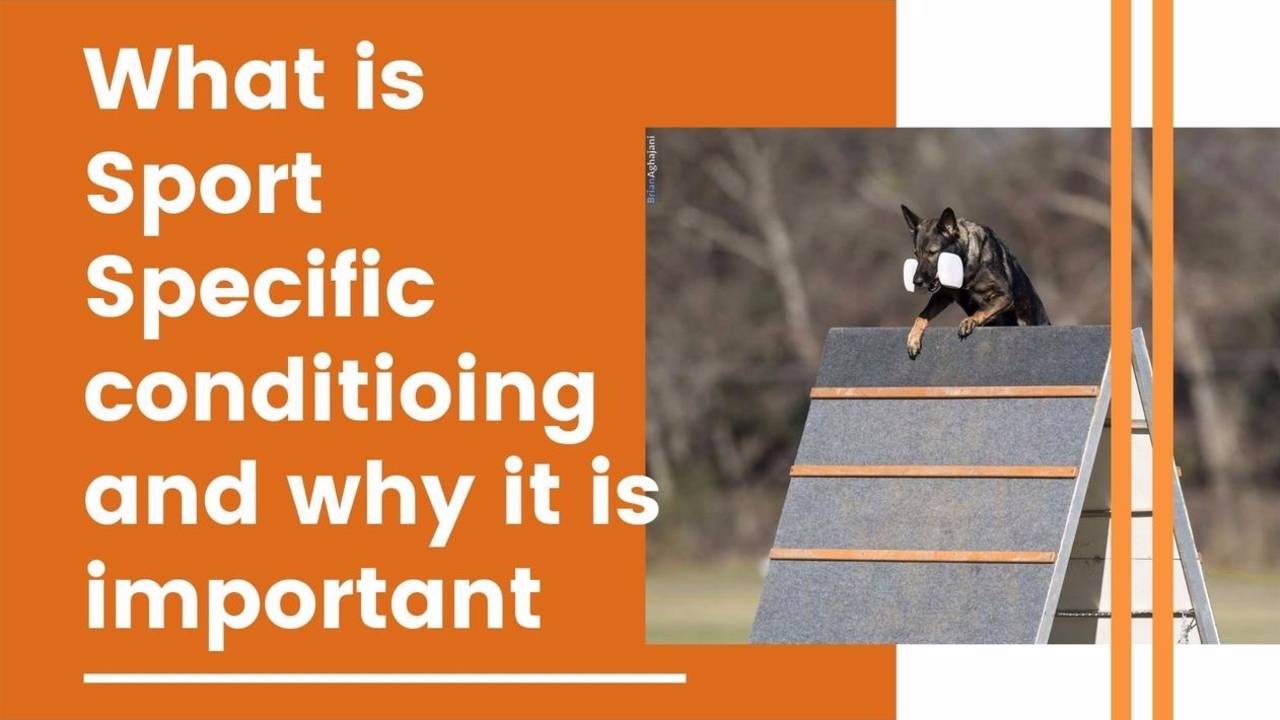 How sport specific conditioning will improve your IGP performance