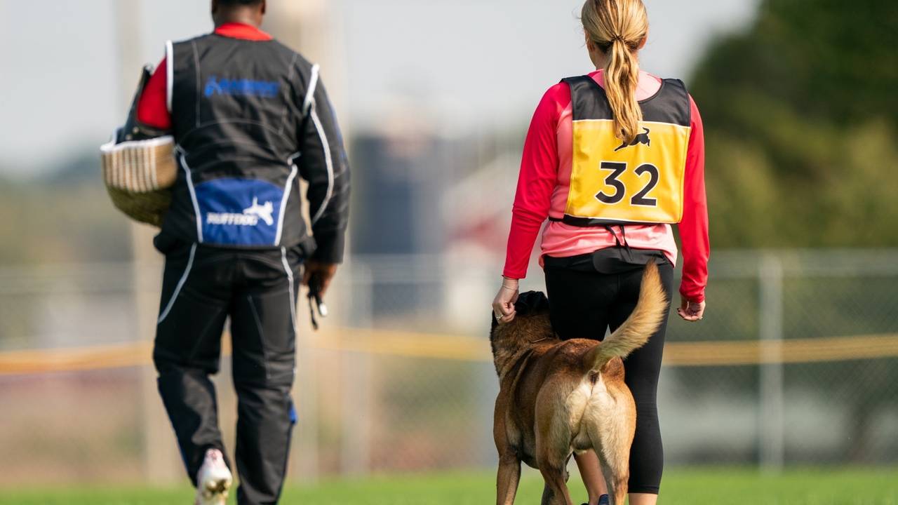 Dingo Gear Www Dingogear Com 1977 Magnetic Handle Rubber Ball