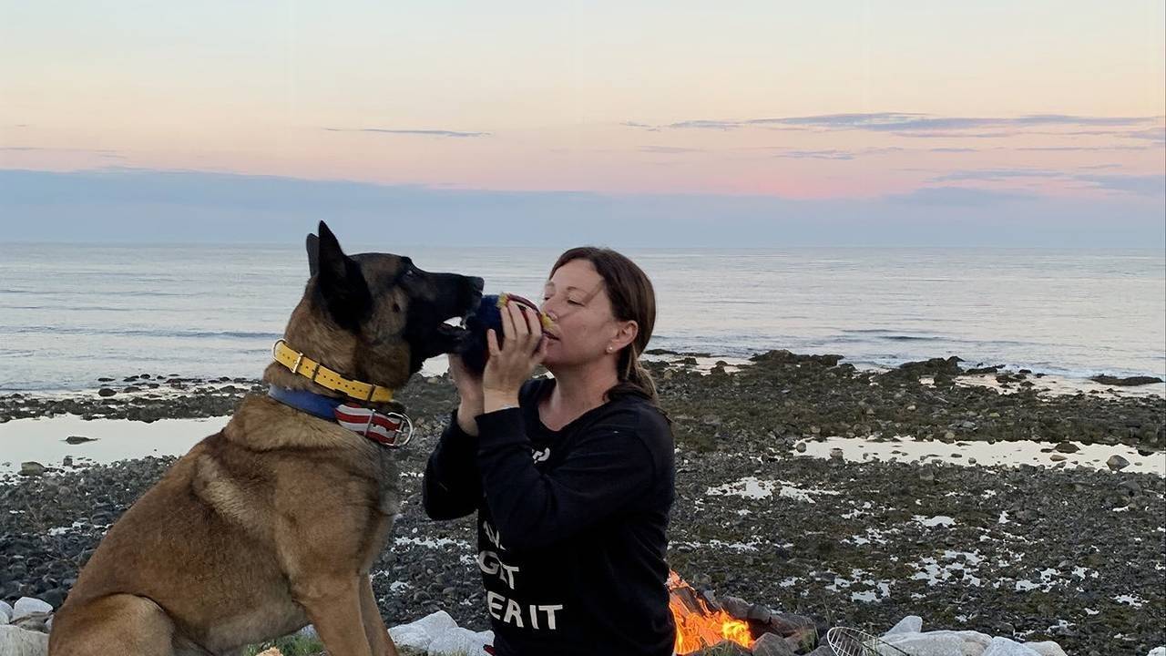 Dog Training Solutions Sarasota, Venice, Englewood, Florida