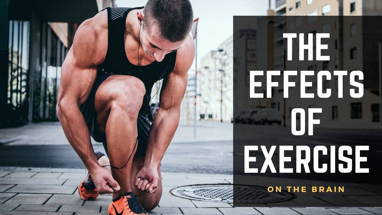 The Effects of Exercise on the Brain