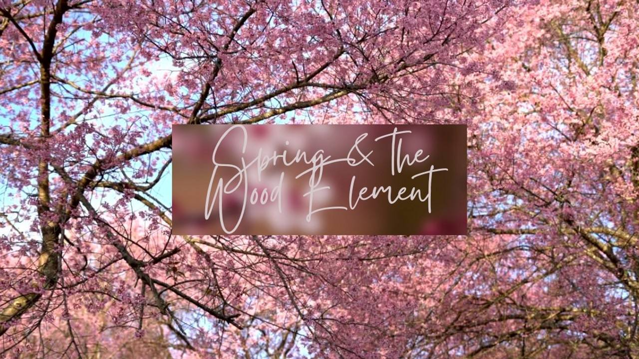 Learn How the Wood Element Can Support You in Mind and Body.