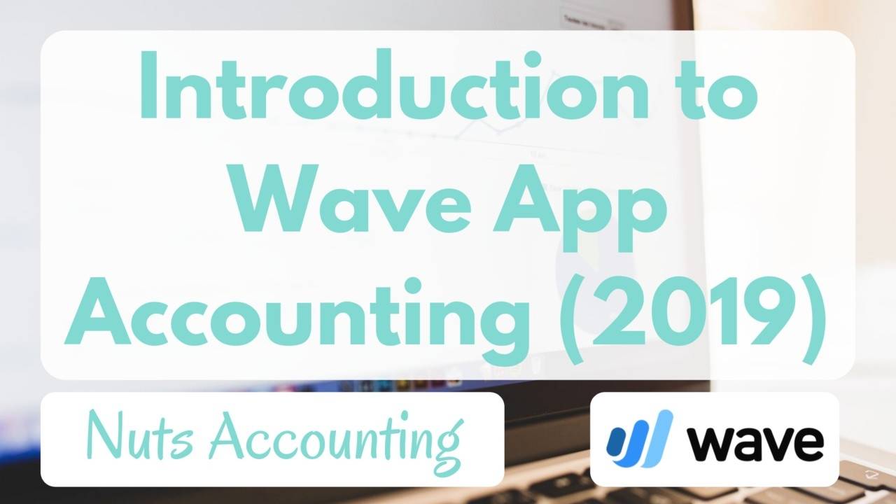 Introduction to Wave Accounting for beginners (2019)