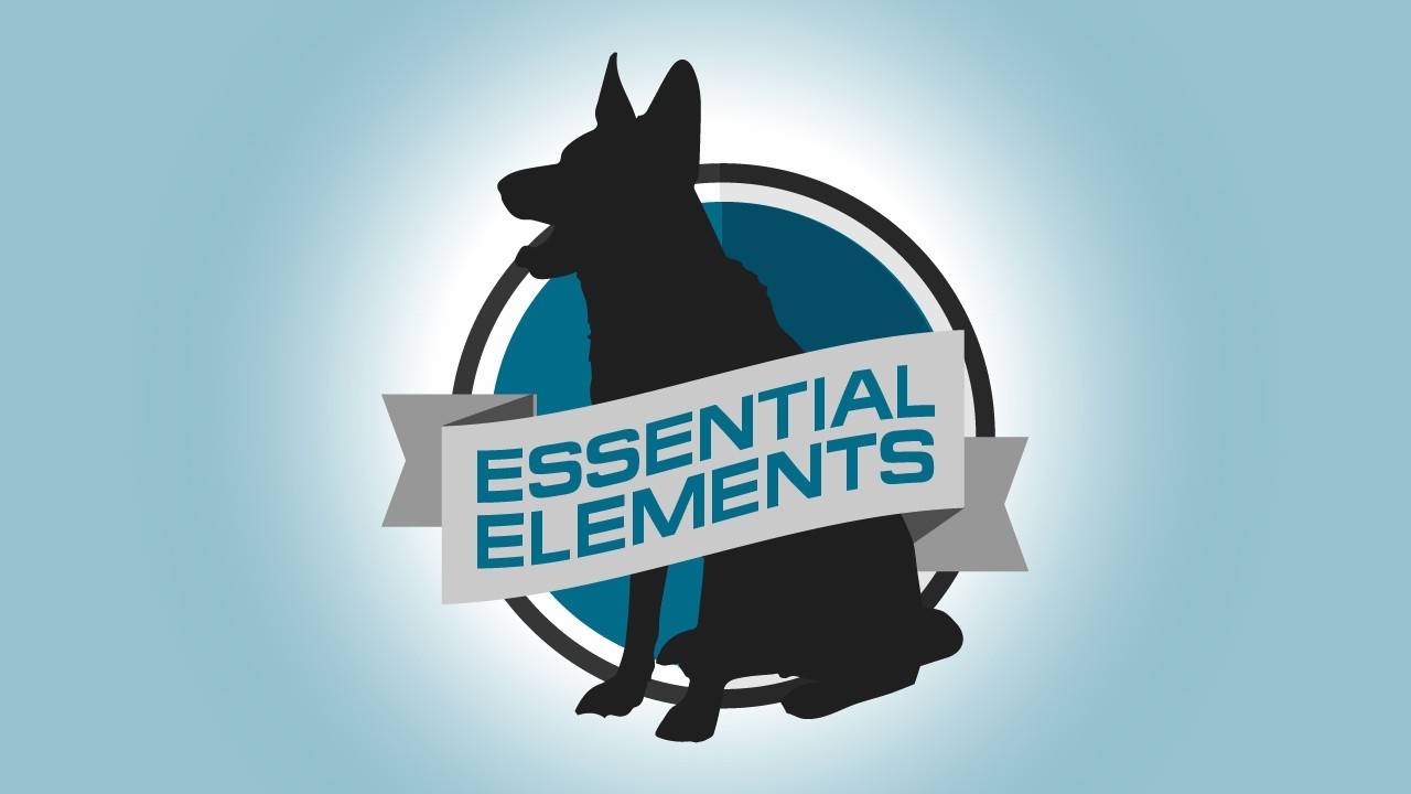Essential Elements Class