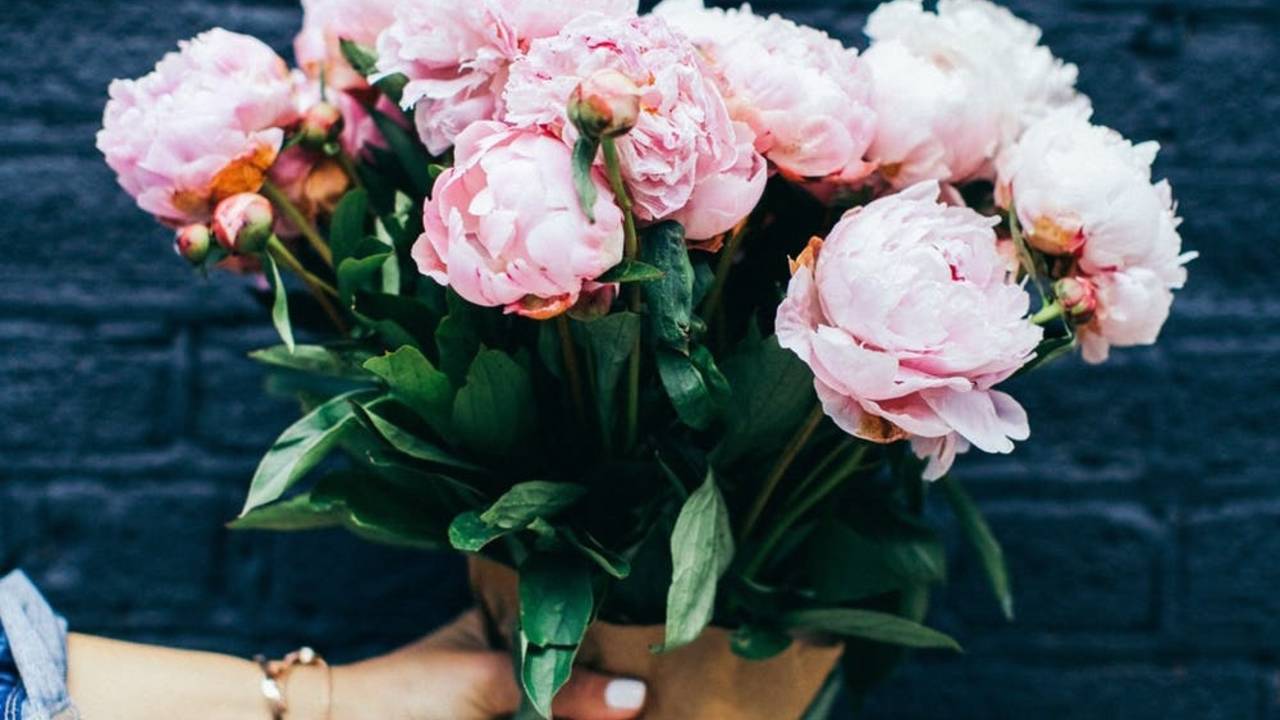 Bring My Flowers Now